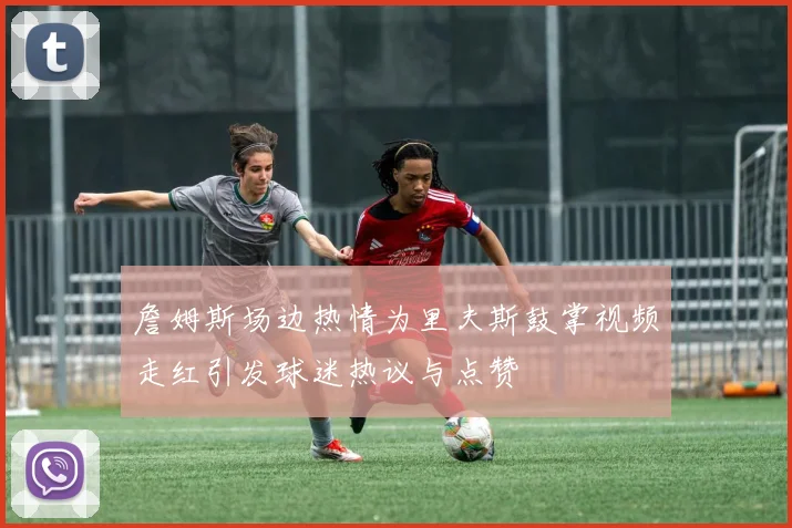 詹姆斯场边热情为里夫斯鼓掌视频走红引发球迷热议与点赞